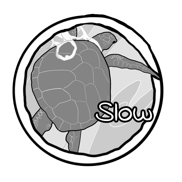 slow icon