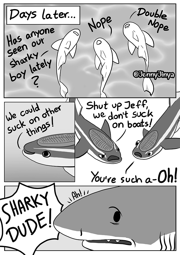 shrk04