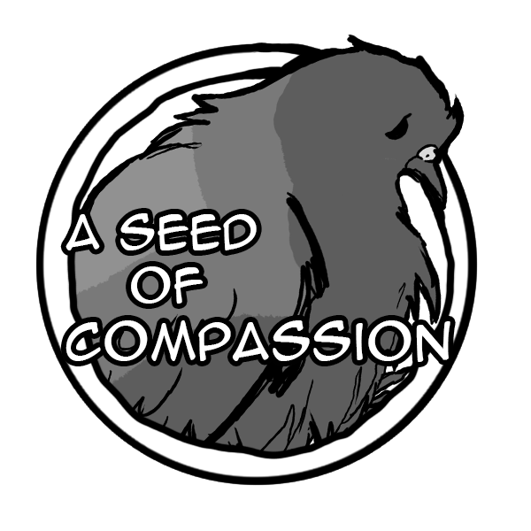 seed