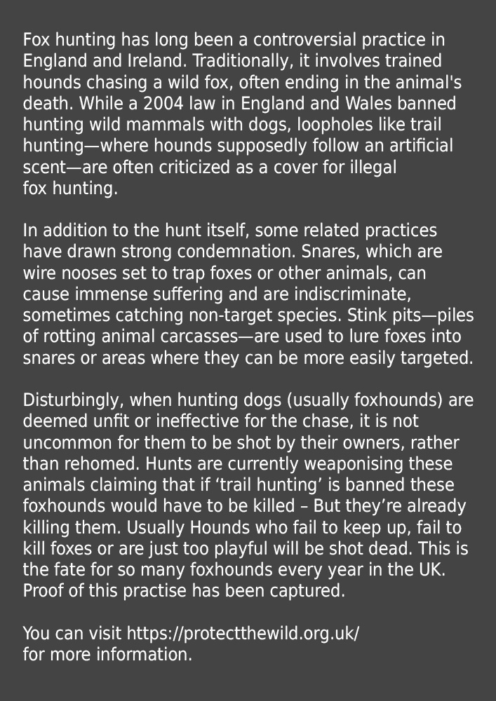 info