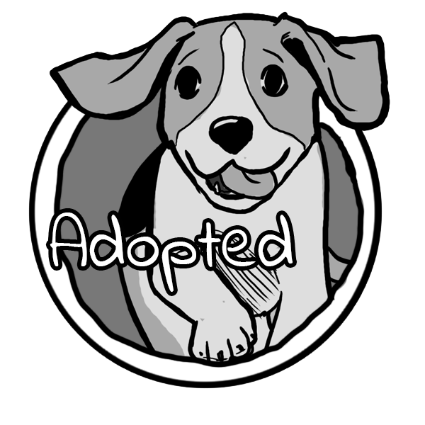 Adopted
